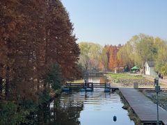 -溱湖国家湿地公园