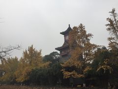 -四川大学(华西校区)