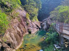 -广州白江湖森林公园