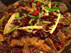 -老板恋上鱼(高新万达店)