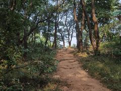 -广州市白云山风景名胜区