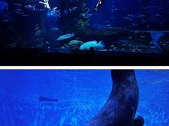 -多彩贵州城极地海洋世界