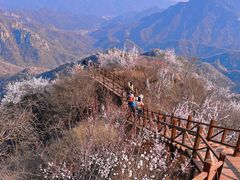 -大岭沟猕猴桃谷风景区