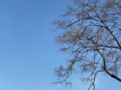 -北京石景山游乐园