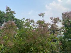 -北京西山国家森林公园