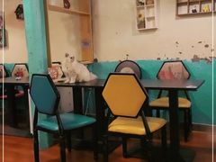 大堂-猫小院猫主题咖啡厅(北锣店)