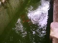 -阳明祠