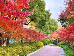 -上海宝华万豪酒店