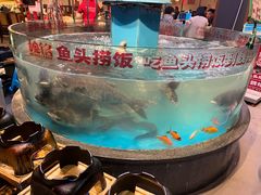 -魏铭鱼头捞饭(晋阳路店)