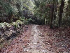 -雁荡山雁湖景区