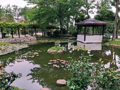 -深圳国际园林花卉博览园