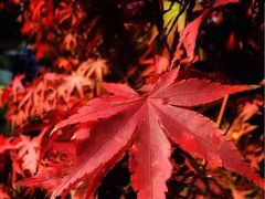 -苏州河梦清园环保主题公园