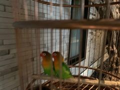 -小厨娘淮扬菜(六合欢乐港店)