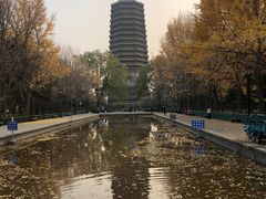 -玲珑塔公园