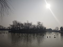 -盐城丹顶鹤湿地生态旅游区