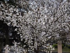 -江南大学(蠡湖校区)