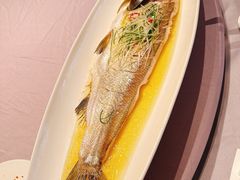 鲜鸡汁蒸白鱼-谷语中餐厅