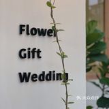 中山探店💐闯入奶油色的法式浪漫花店