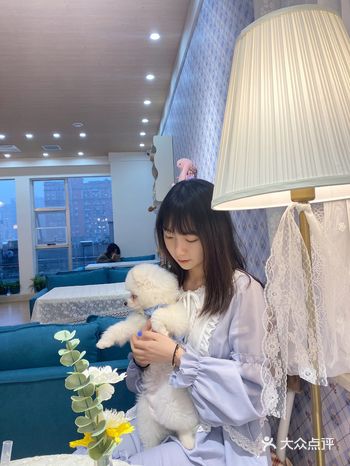长沙探店丨首家换装萌宠集合店