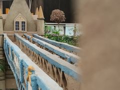 -南宫五洲植物乐园