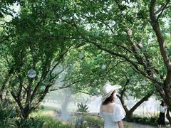 -名花谷生态庄园