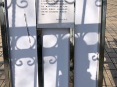 -新江湾城公园