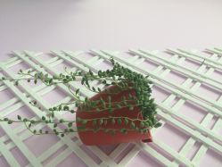 点击看大图 严雪梅韩国3d专业美睫生活馆-Yolee雅妮容颜定制美睫·美甲