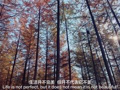 -大连天门山国家森林公园