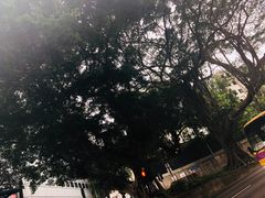 -圣约翰座堂