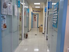 -全心全意连锁动物医院·微创中心·内科急重症·心脏专科(丰管路店)
