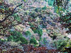 -北京上方山国家森林公园