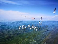 -青海湖国家重点风景名胜区