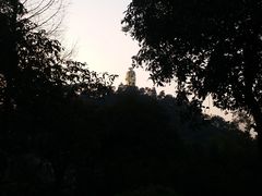 -南山植物园