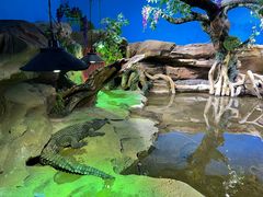 -沙沙哗啦海洋馆(华宇百花谷店)