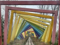 -合肥滨湖国家森林公园