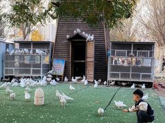 -长白岛森林公园