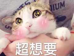-虾吃虾涮.虾火锅.肉蟹煲(步步高梅溪新天地店)