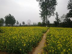 -济南植物园
