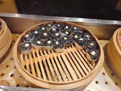 -苏州金科大酒店