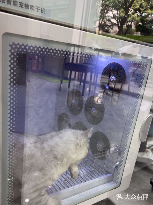 瑞鹏宠物医院·普外科·影像科·皮肤科(城市山谷分院)图片