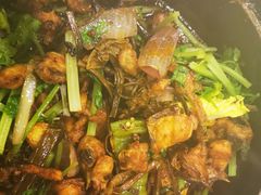 -清真重庆巴爷香辣鸡煲(南小巷店)