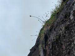 -江西龙虎山景区