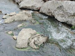 -羊山湖公园