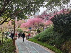 -重庆彩云湖湿地公园