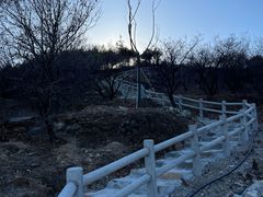 -北京西山国家森林公园