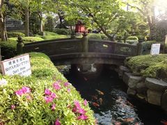 -浅草寺