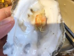 -陈记高压锅鱼头·生蚝