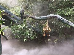 -古龙峡云天玻霸