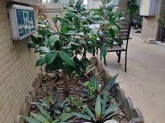 -茶油香·闽南菜(前埔店)