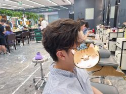 -藤野造型